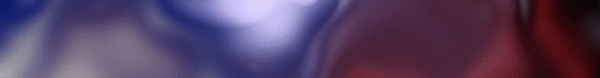 Köpek eğitimi banner