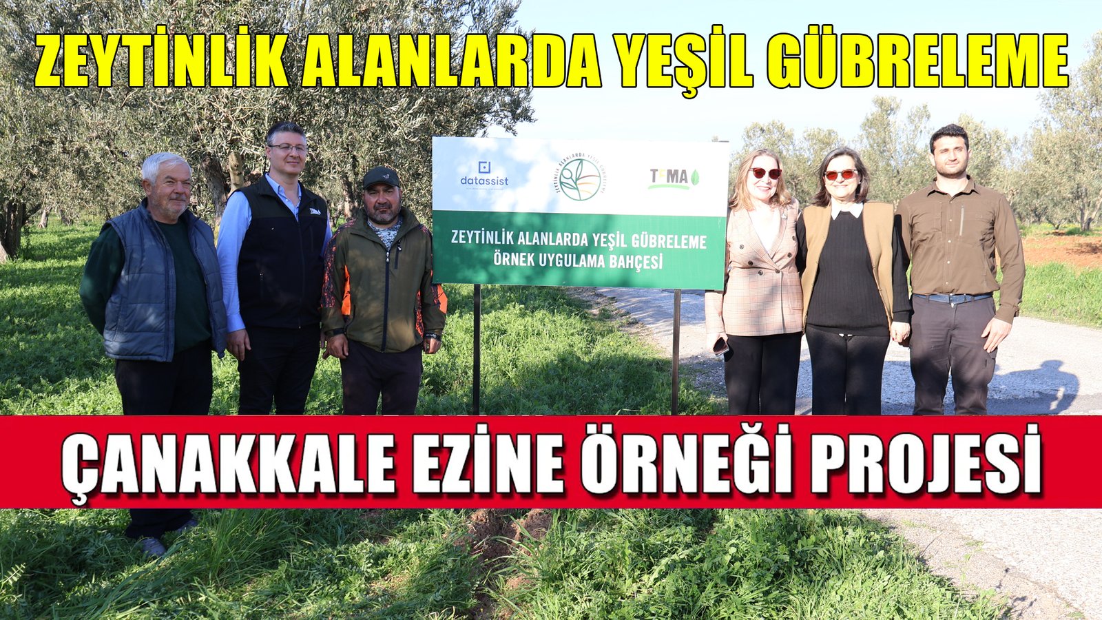 Ezine Zeytin Bahçelerinde Doğa Temelli Çözüm Yeşil Gübreleme ile Kuraklığa Direnç Artacak